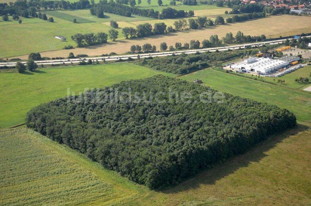 Luftaufnahme Linthe - Waldquadrat bei Linthe in Brandenburg