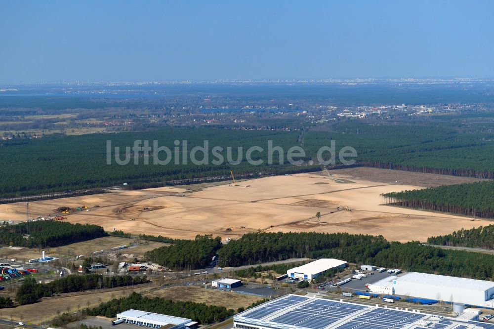 Luftbild Freienbrink - Waldrodung Gewerbegebiet Tesla Gigafactory in Freienbrink im Bundesland Brandenburg, Deutschland