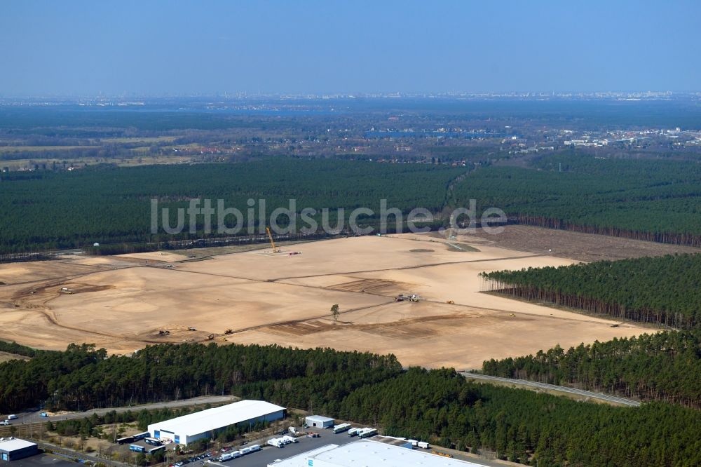 Luftaufnahme Freienbrink - Waldrodung Gewerbegebiet Tesla Gigafactory in Freienbrink im Bundesland Brandenburg, Deutschland
