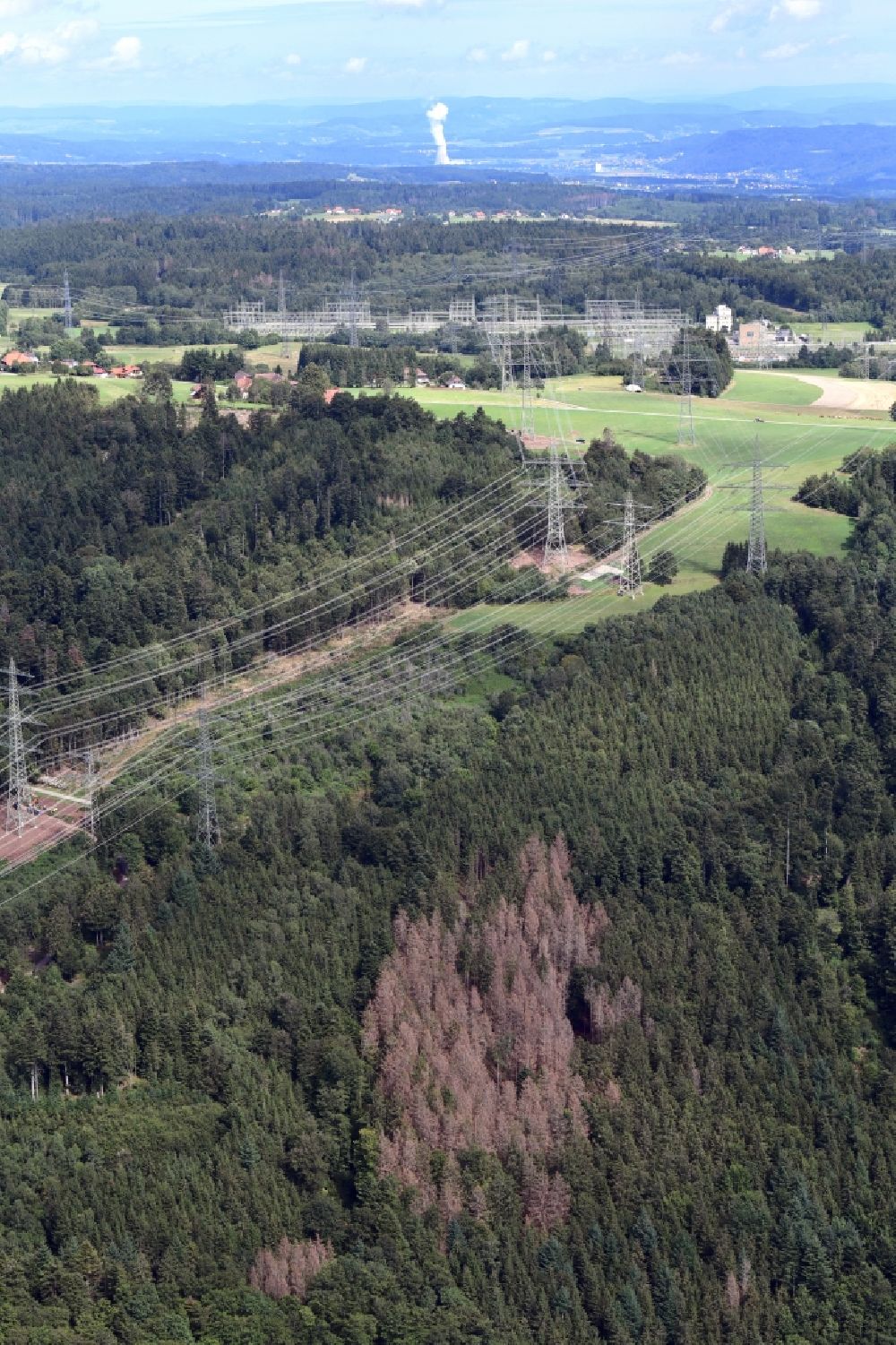 Luftaufnahme Rickenbach - Waldschaden und dürre Fichten durch Borkenkäferbefall in einem Waldgebiet in Rickenbach im Bundesland Baden-Württemberg, Deutschland