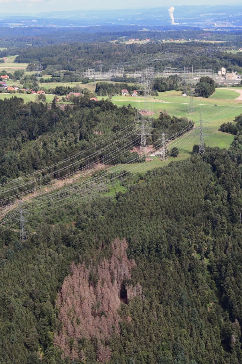 Rickenbach von oben - Waldschaden und dürre Fichten durch Borkenkäferbefall in einem Waldgebiet in Rickenbach im Bundesland Baden-Württemberg, Deutschland