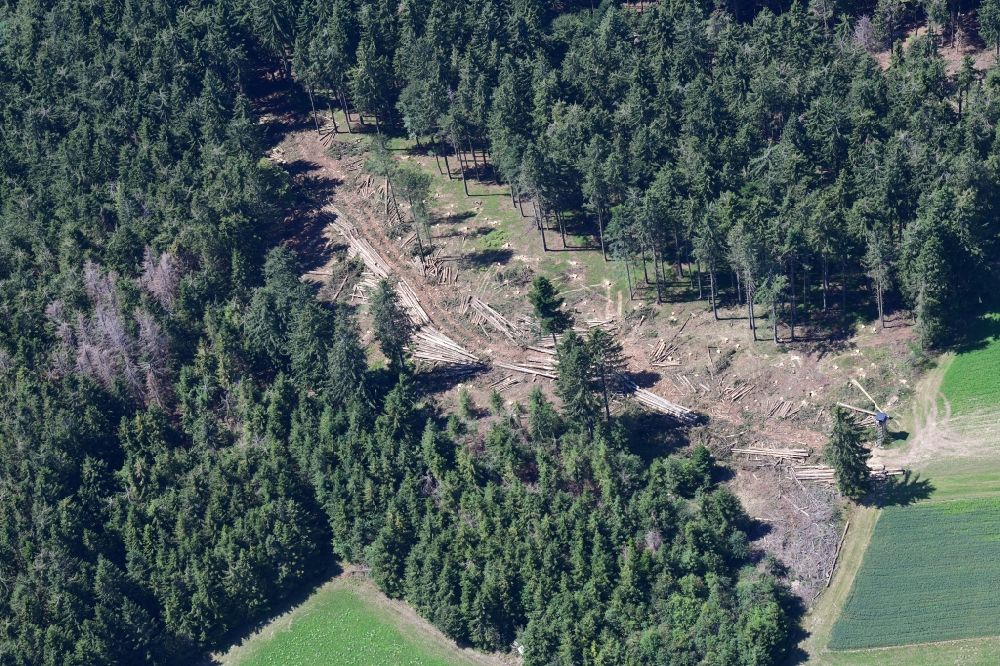 Luftbild Herrischried - Waldschneise durch Forstarbeiten im Fichtenwald in einem Waldgebiet in Herrischried im Bundesland Baden-Württemberg, Deutschland