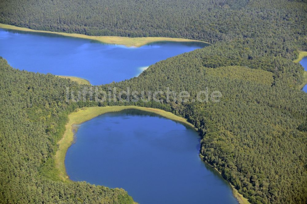 Luftaufnahme Neustrelitz - Waldstück zwischen dem Großen Fürstenseer See und dem Zwirnsee in Neustrelitz im Bundesland Mecklenburg-Vorpommern