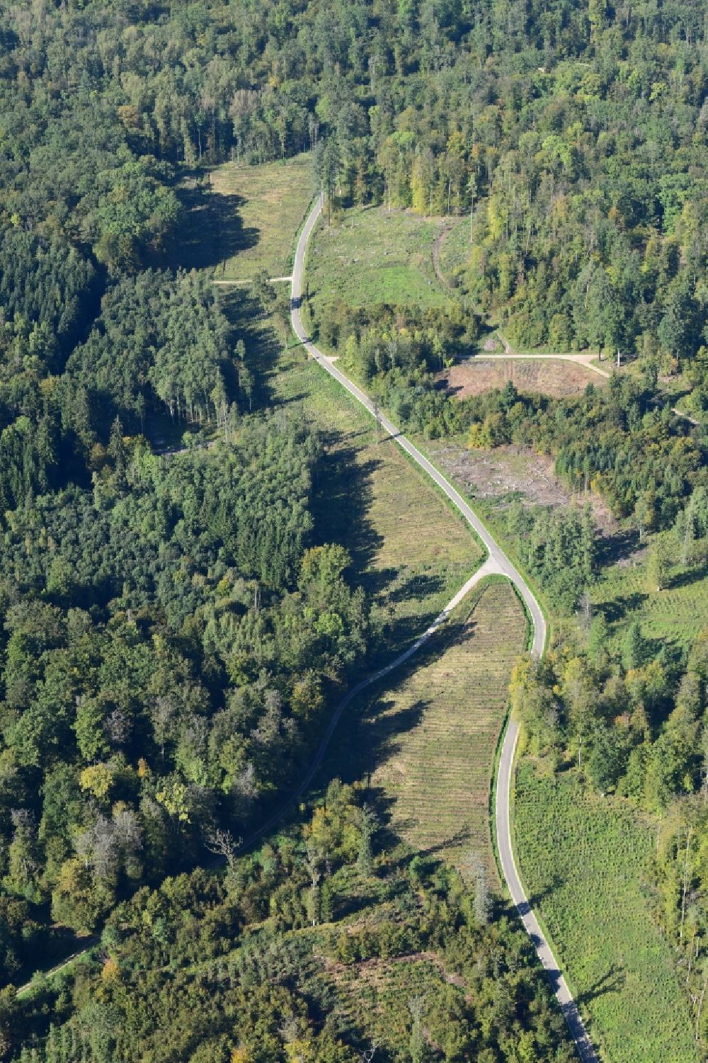 Lörrach von oben - Waldweg durch ein Waldgebiet im Tannengraben bei Lörrach im Bundesland Baden-Württemberg, Deutschland