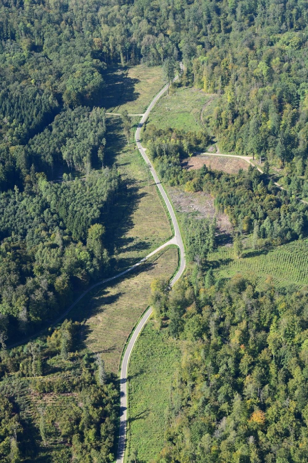 Lörrach aus der Vogelperspektive: Waldweg durch ein Waldgebiet im Tannengraben bei Lörrach im Bundesland Baden-Württemberg, Deutschland