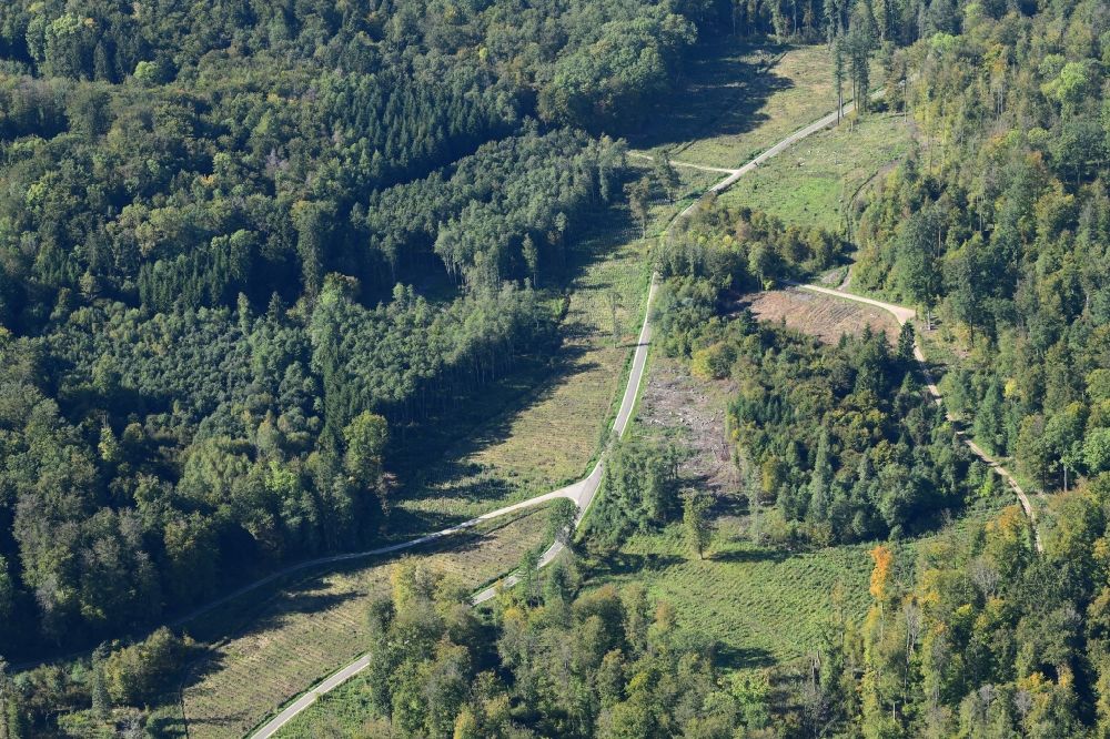 Luftbild Lörrach - Waldweg durch ein Waldgebiet im Tannengraben bei Lörrach im Bundesland Baden-Württemberg, Deutschland