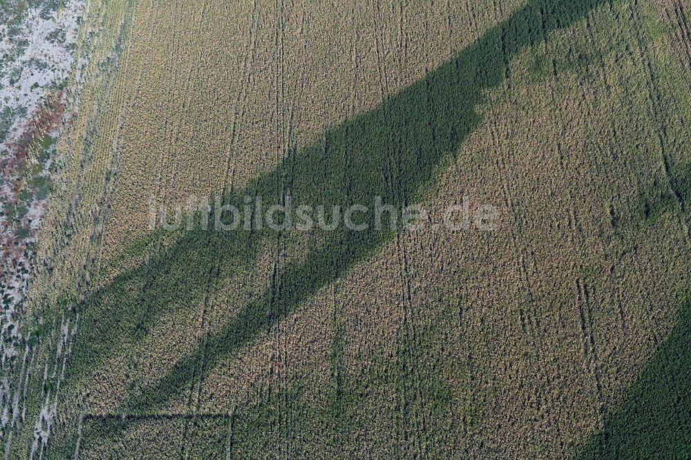Elbe-Parey von oben - Wasserader - Verlauf auf landwirtschaftlichen Feldern in Elbe-Parey im Bundesland Sachsen-Anhalt, Deutschland