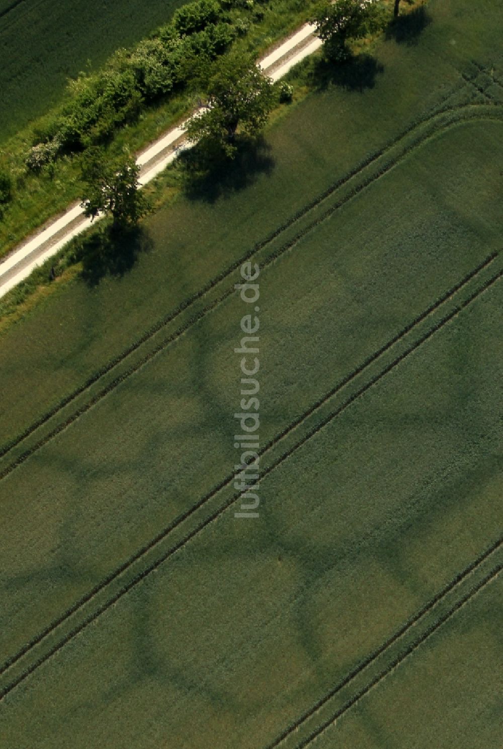 Luftaufnahme Karsdorf - Wasserader - Verlauf auf landwirtschaftlichen Feldern in Karsdorf im Bundesland Sachsen-Anhalt, Deutschland