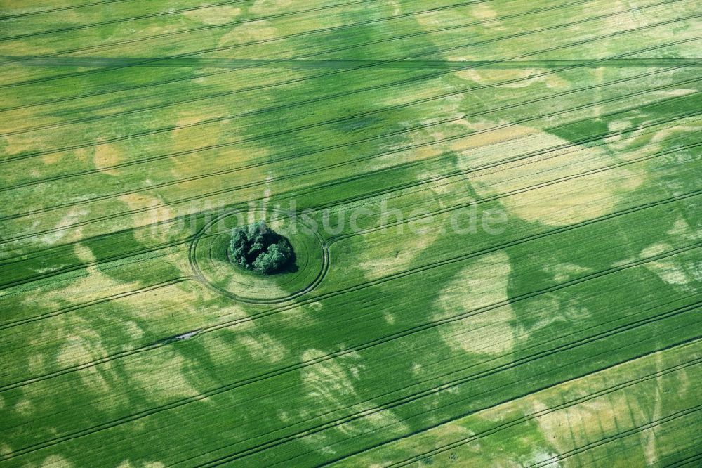 Luftbild Schönhagen - Wasserader - Verlauf auf landwirtschaftlichen Feldern in Schönhagen im Bundesland Brandenburg, Deutschland