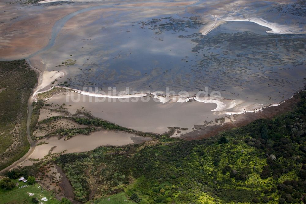 Luftbild Preece Point - Wasseroberfläche an der Meeres- Küste von der Brickfield Bucht in Preece Point in Waikato, Neuseeland