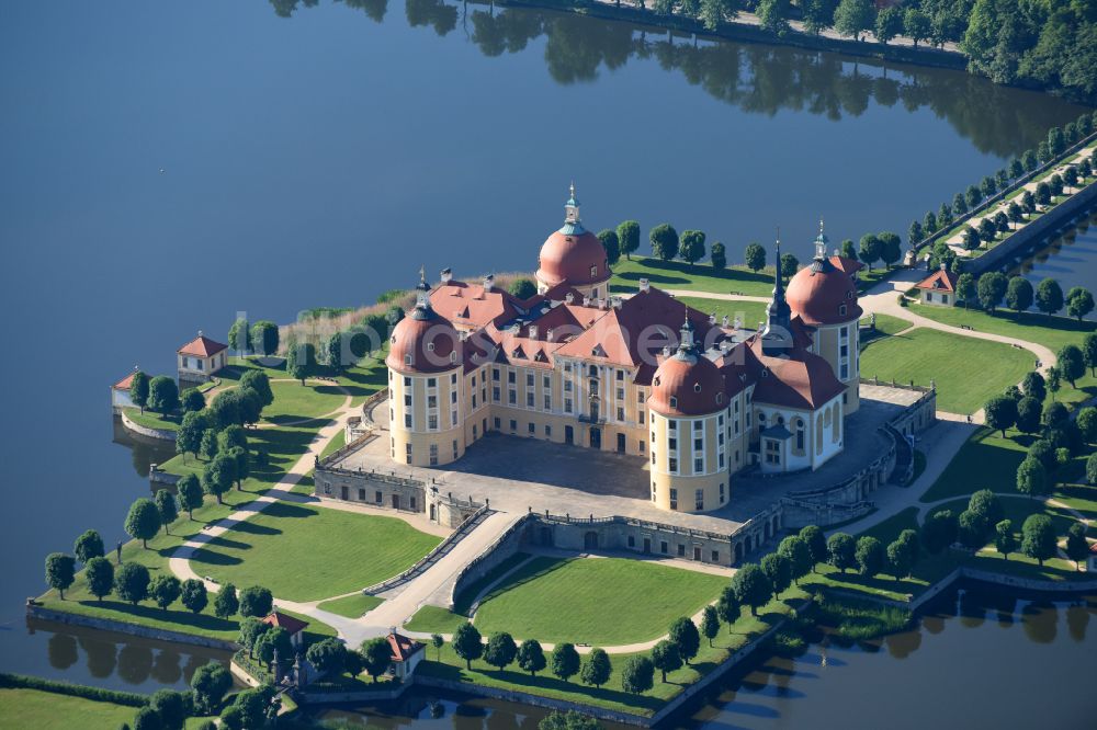 Moritzburg von oben - Wasserschloss und Schloßpark in Moritzburg im Bundesland Sachsen, Deutschland
