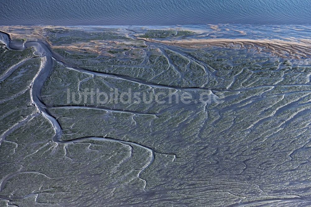 Luftaufnahme Jork - Watt- Bereichen am Flußverlauf der Elbe in Jork im Bundesland Niedersachsen, Deutschland