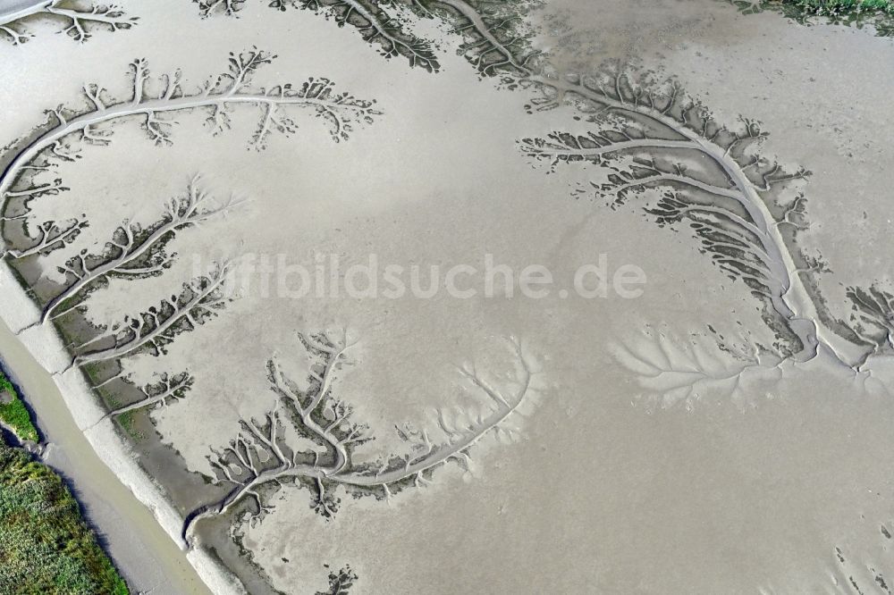 Luftaufnahme Balje - Wattenmeer der Nordsee- Küste mit Prielen - Bildung in Balje im Bundesland Niedersachsen, Deutschland