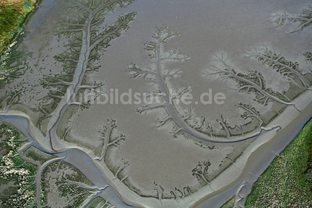 Balje von oben - Wattenmeer der Nordsee- Küste mit Prielen - Bildung in Balje im Bundesland Niedersachsen, Deutschland