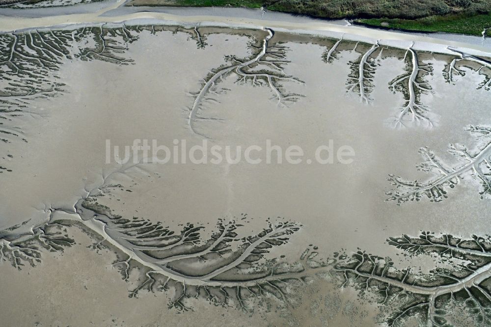 Luftbild Balje - Wattenmeer der Nordsee- Küste mit Prielen - Bildung in Balje im Bundesland Niedersachsen, Deutschland
