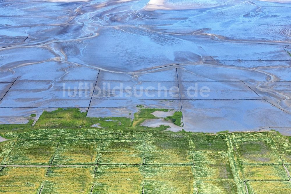 Luftaufnahme Westerhever - Wattenmeer der Nordsee- Küste in Westerhever im Bundesland Schleswig-Holstein, Deutschland