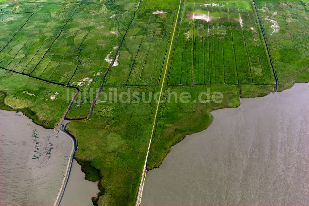 Nordenham aus der Vogelperspektive: Wattenmeer der Nordsee- Küste in Nordenham im Bundesland Niedersachsen, Deutschland