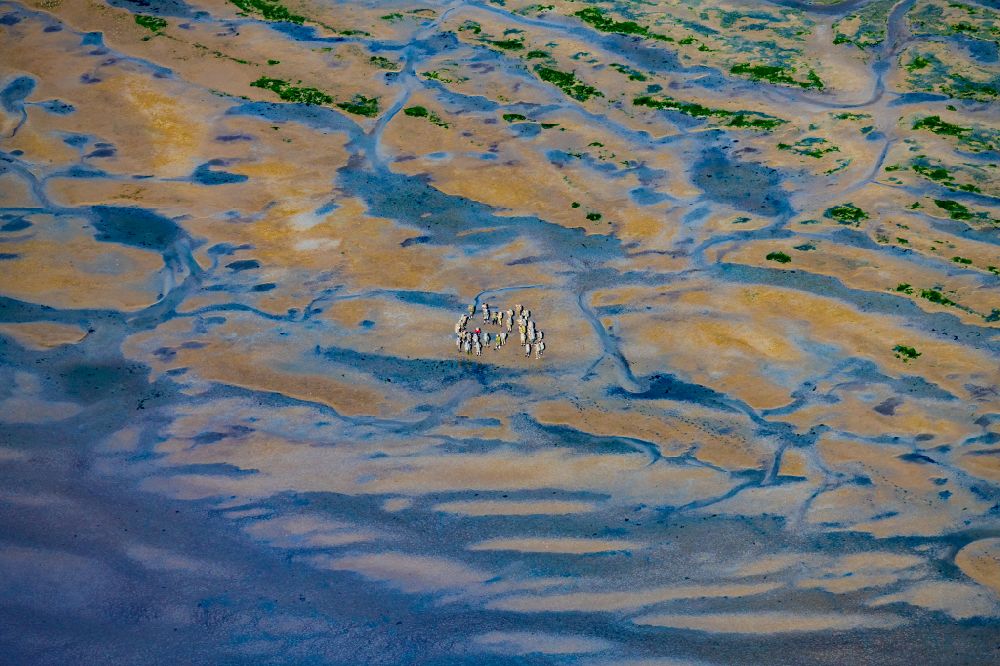 Luftaufnahme Norderney - Wattwanderung eine Gruppe im Wattenmeer vor Norderney im Bundesland Niedersachsen, Deutschland