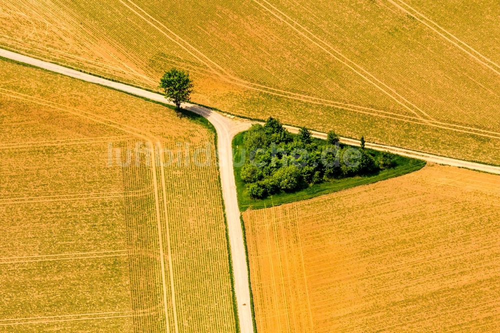 Luftbild Capelle - Weggabelung auf landwirtschaftlichen Feldern in Capelle im Bundesland Nordrhein-Westfalen, Deutschland