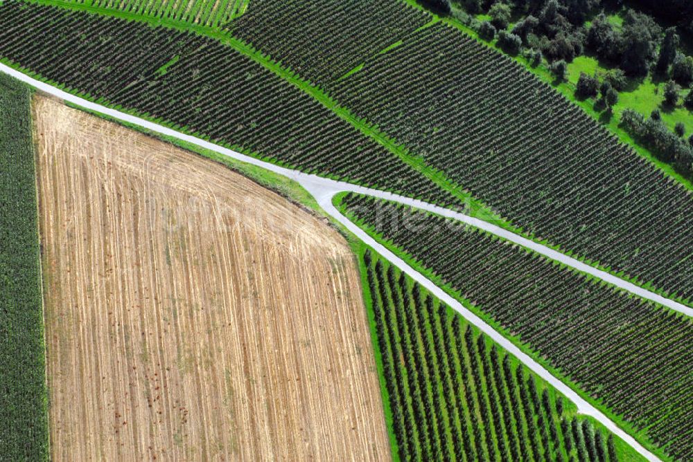 Luftaufnahme Oberhöfen - Weinbau im Hohenlohekreis
