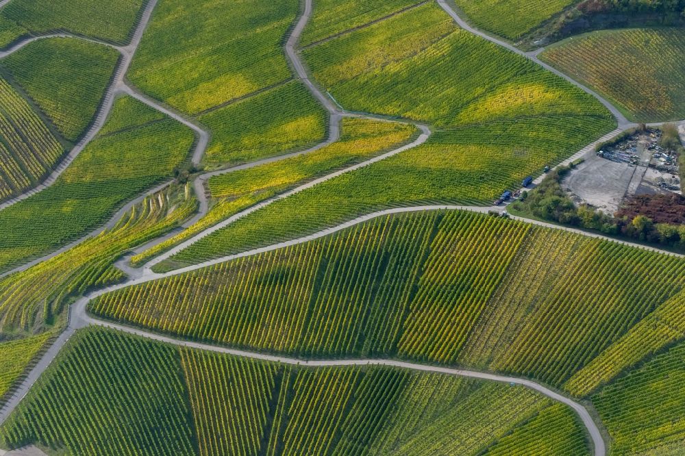 Luftaufnahme Wellenstein - Weinberge und Reben - Reihen im Wein - Anbaugebiet bei Wellenstein in der Gemeinde Schengen im Großherzogtum Luxemburg