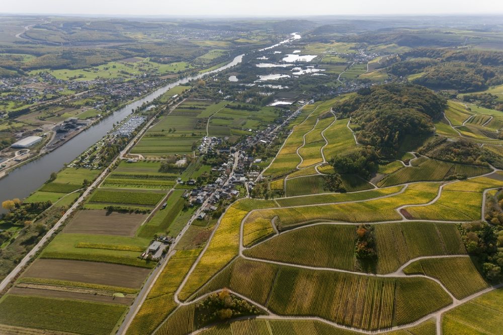 Luftbild Wellenstein - Weinberge und Reben - Reihen im Wein - Anbaugebiet bei Wellenstein in der Gemeinde Schengen im Großherzogtum Luxemburg