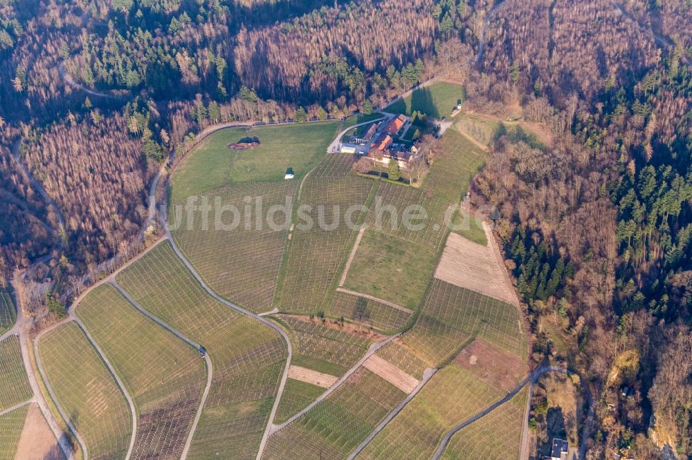 Luftbild Baden-Baden - Weinberge des Weingut Nägelsförst - Landschaft der Winzer- Gebiete in Baden-Baden im Bundesland Baden-Württemberg, Deutschland