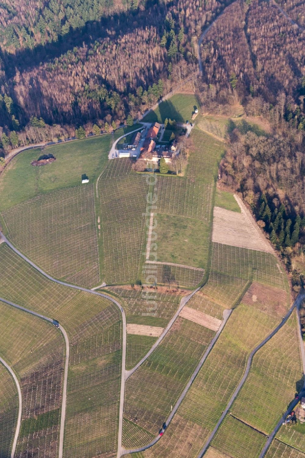 Luftaufnahme Baden-Baden - Weinberge des Weingut Nägelsförst - Landschaft der Winzer- Gebiete in Baden-Baden im Bundesland Baden-Württemberg, Deutschland