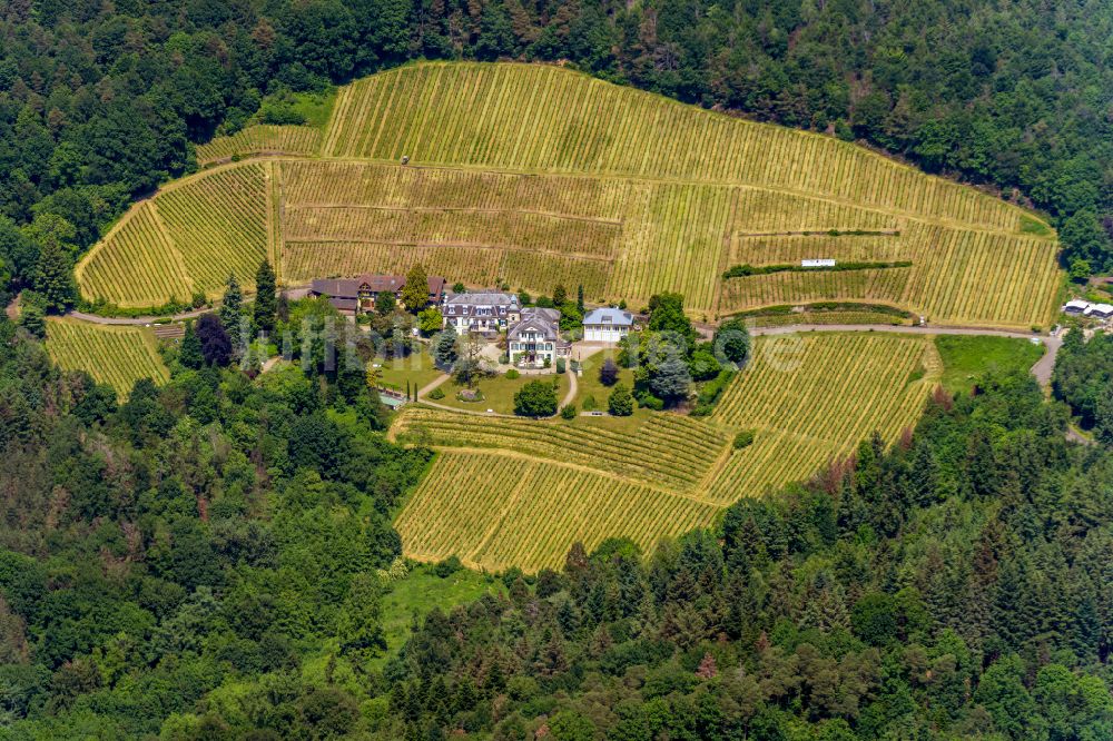Luftaufnahme Sinzheim - Weinbergs Klostergut Fremersberg Landschaft der Winzer- Gebiete in Sinzheim im Bundesland Baden-Württemberg, Deutschland