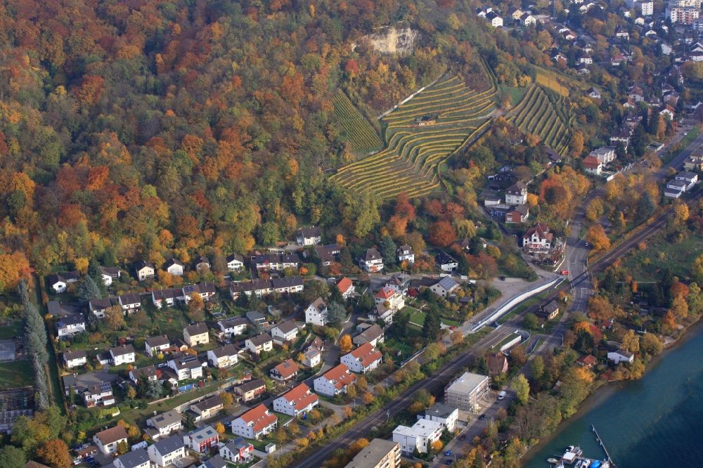 Grenzach-Wyhlen aus der Vogelperspektive: Weinbergs- Landschaft in Grenzach-Wyhlen im Bundesland Baden-Württemberg