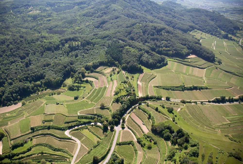 Luftaufnahme Bötzingen - Weinbergs- Landschaft der Weinanbau - Gebiete bei Bötzingen im Bundesland Baden-Württemberg