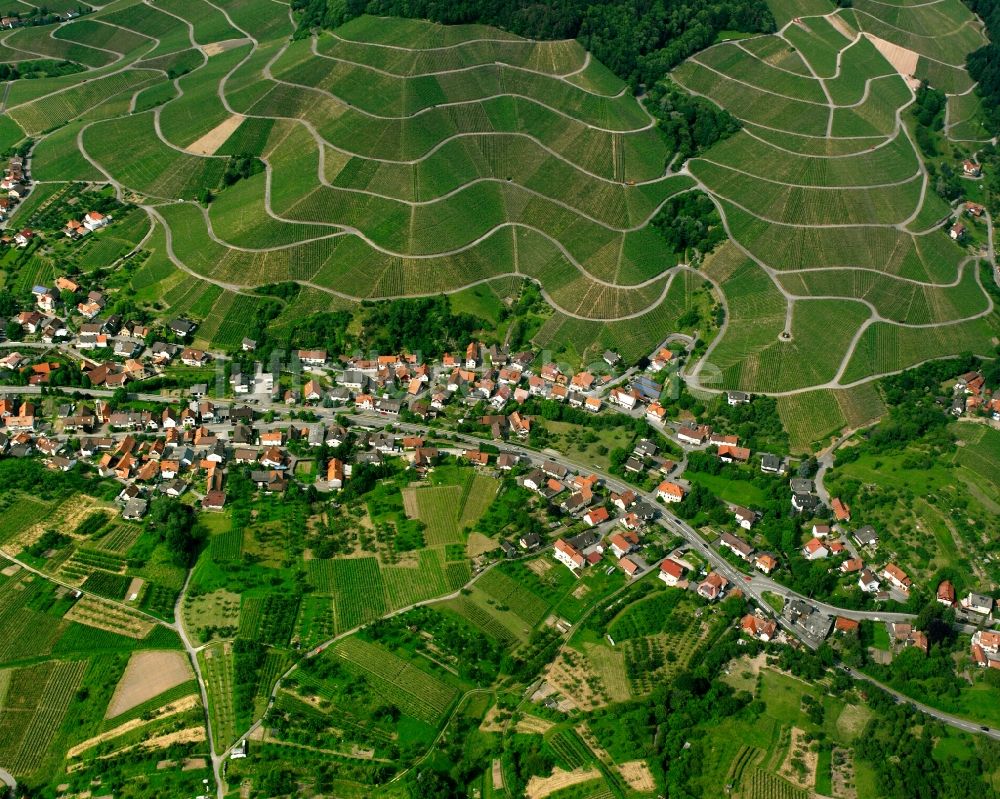 Luftbild Altschweier - Weinbergs- Landschaft der Winzer- Gebiete in Altschweier im Bundesland Baden-Württemberg, Deutschland