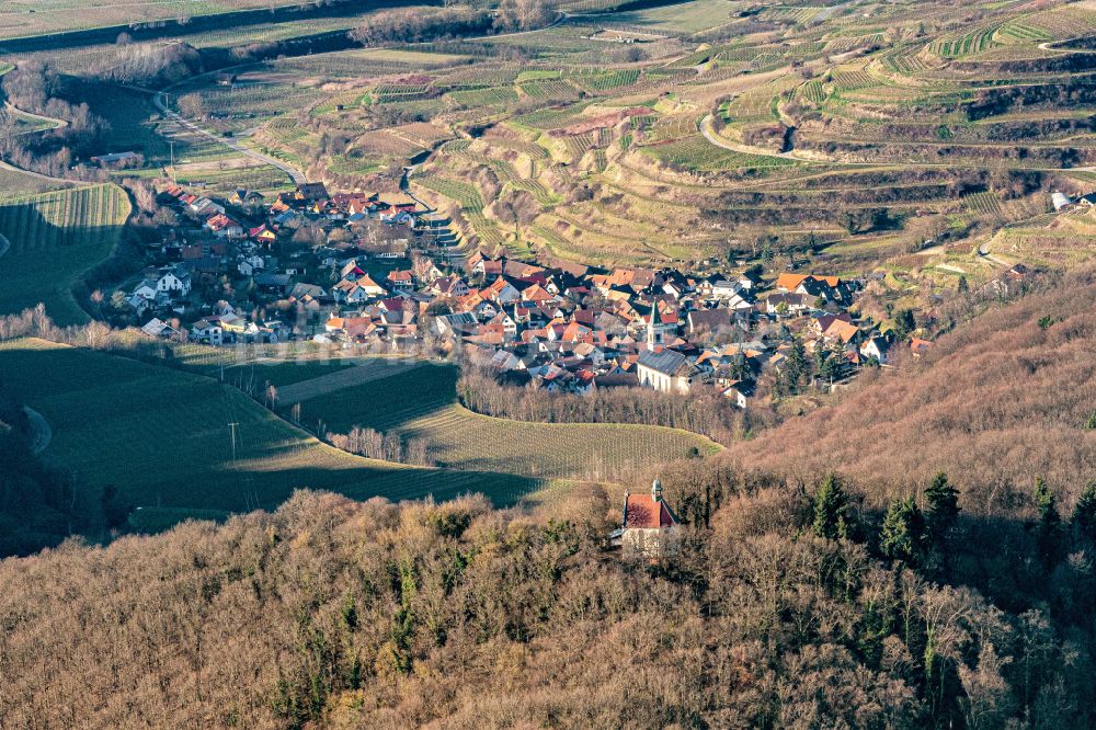 Amoltern aus der Vogelperspektive: Weinbergs- Landschaft der Winzer- Gebiete in Amolte im Bundesland Baden-Württemberg, Deutschland