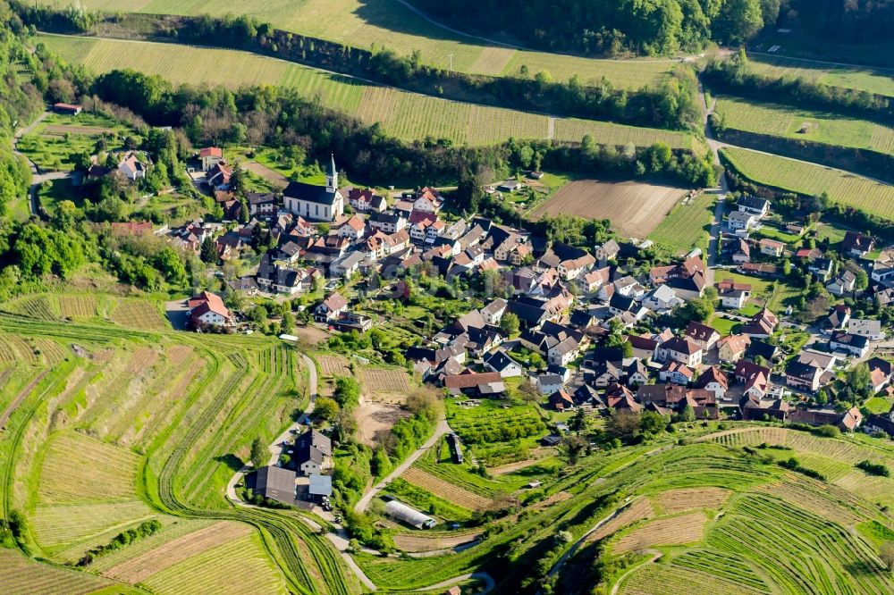 Luftbild Amoltern - Weinbergs- Landschaft der Winzer- Gebiete in Amoltern im Bundesland Baden-Württemberg