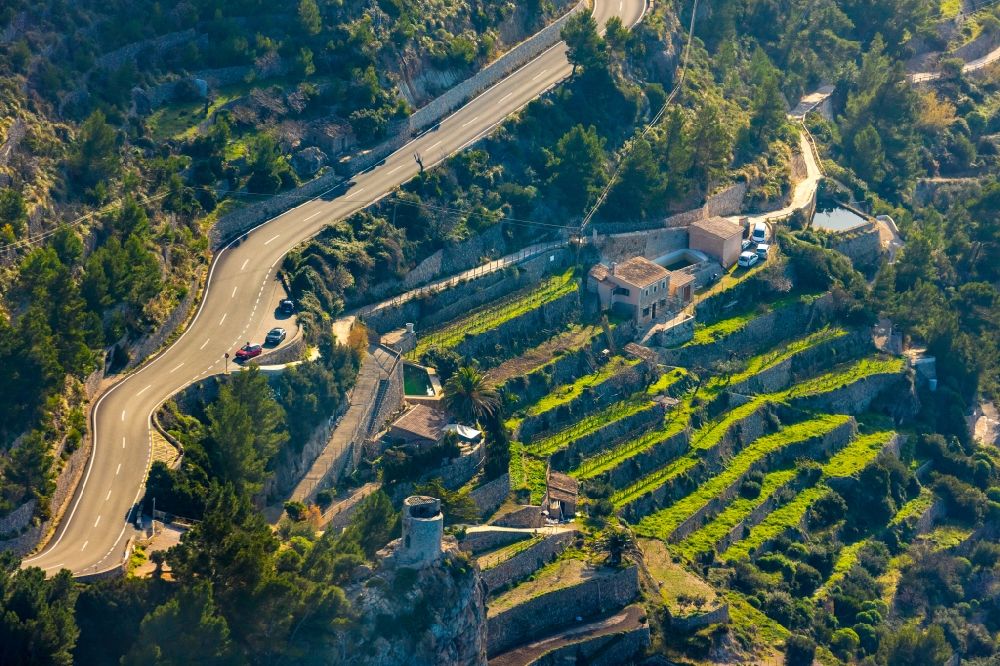 Luftbild Banyalbufar - Weinbergs- Landschaft der Winzer- Gebiete in Banyalbufar in Balearische Insel Malorca, Spanien