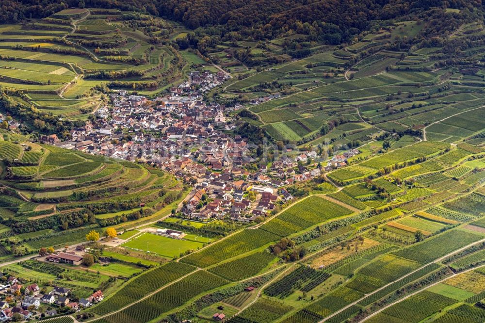 Luftbild Bickensohl - Weinbergs- Landschaft der Winzer- Gebiete in Bickensohl im Bundesland Baden-Württemberg, Deutschland