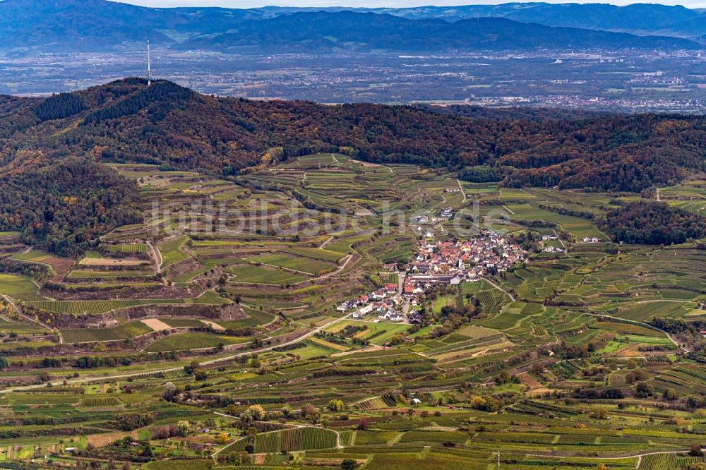 Luftaufnahme Bickensohl - Weinbergs- Landschaft der Winzer- Gebiete in Bickensohl im Bundesland Baden-Württemberg, Deutschland
