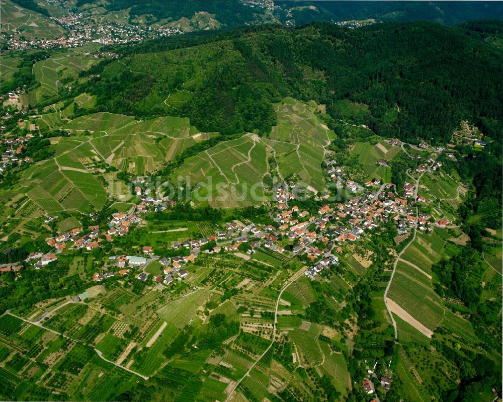 Luftaufnahme Bühl - Weinbergs- Landschaft der Winzer- Gebiete in Bühl im Bundesland Baden-Württemberg, Deutschland