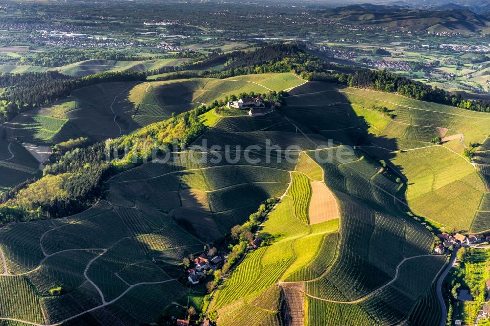 Durbach von oben - Weinbergs- Landschaft der Winzer Gebiete in Durbach im Bundesland Baden-Württemberg