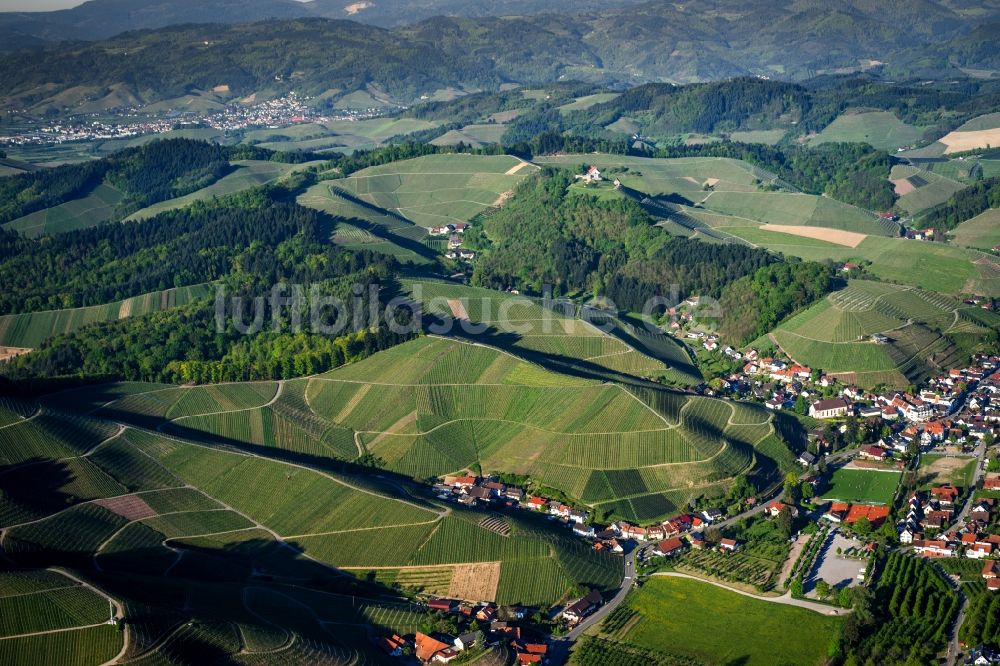 Luftbild Durbach - Weinbergs- Landschaft der Winzer- Gebiete in Durbach im Bundesland Baden-Württemberg