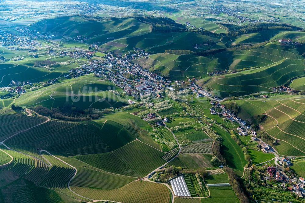 Luftaufnahme Durbach - Weinbergs- Landschaft der Winzer- Gebiete in Durbach im Bundesland Baden-Württemberg, Deutschland