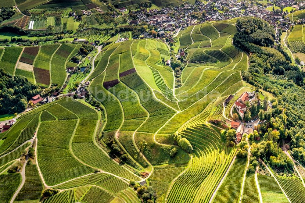 Luftaufnahme Durbach - Weinbergs- Landschaft der Winzer- Gebiete in Durbach im Bundesland Baden-Württemberg, Deutschland