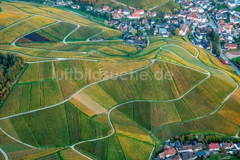 Luftbild Durbach - Weinbergs- Landschaft der Winzer- Gebiete in Durbach im Bundesland Baden-Württemberg, Deutschland