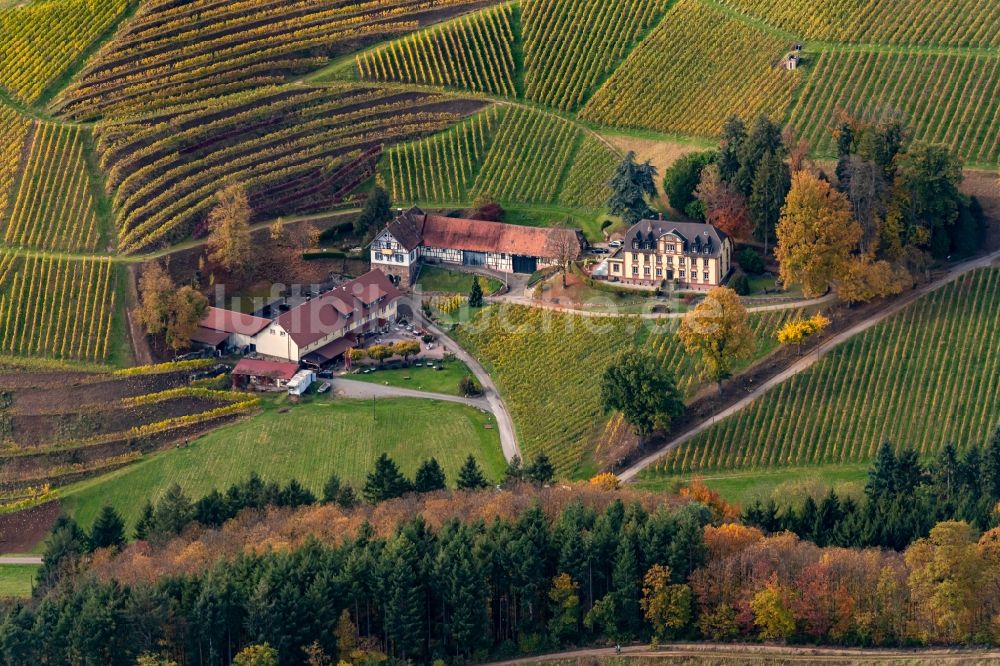 Luftbild Durbach - Weinbergs- Landschaft der Winzer- Gebiete in Durbach im Bundesland Baden-Württemberg, Deutschland