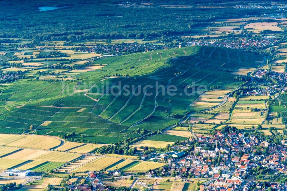 Ehrenkirchen von oben - Weinbergs- Landschaft der Winzer- Gebiete in Ehrenkirchen im Bundesland Baden-Württemberg, Deutschland