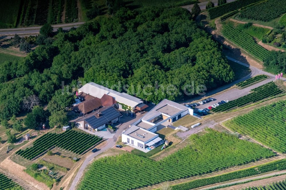 Luftbild Ettenheim - Weinbergs- Landschaft der Winzer- Gebiete in Ettenheim im Bundesland Baden-Württemberg, Deutschland
