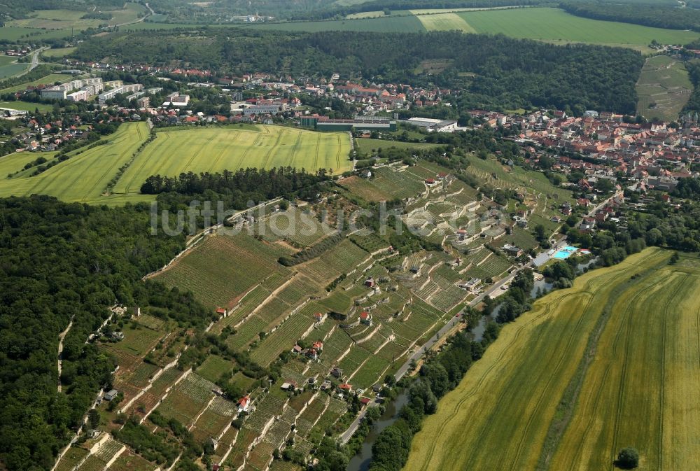 Freyburg (Unstrut) aus der Vogelperspektive: Weinbergs- Landschaft der Winzer- Gebiete in Freyburg (Unstrut) im Bundesland Sachsen-Anhalt, Deutschland