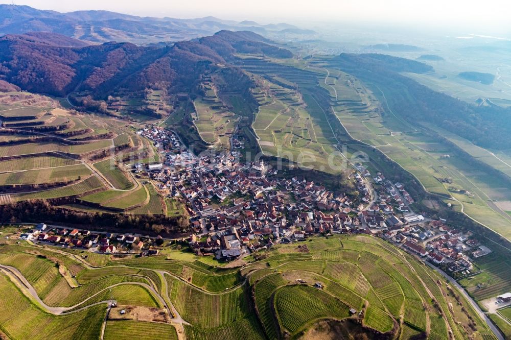 Luftaufnahme Kiechlinsbergen - Weinbergs- Landschaft der Winzer- Gebiete am Kaiserstuhl in Kiechlinsbergen im Bundesland Baden-Württemberg, Deutschland