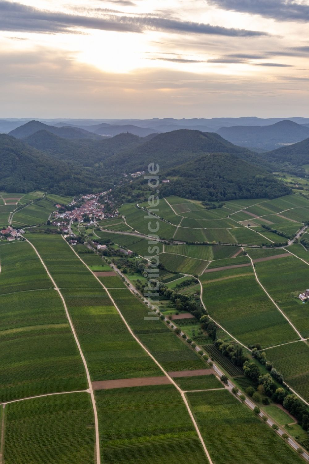 Leinsweiler von oben - Weinbergs- Landschaft der Winzer- Gebiete in Leinsweiler im Bundesland Rheinland-Pfalz, Deutschland