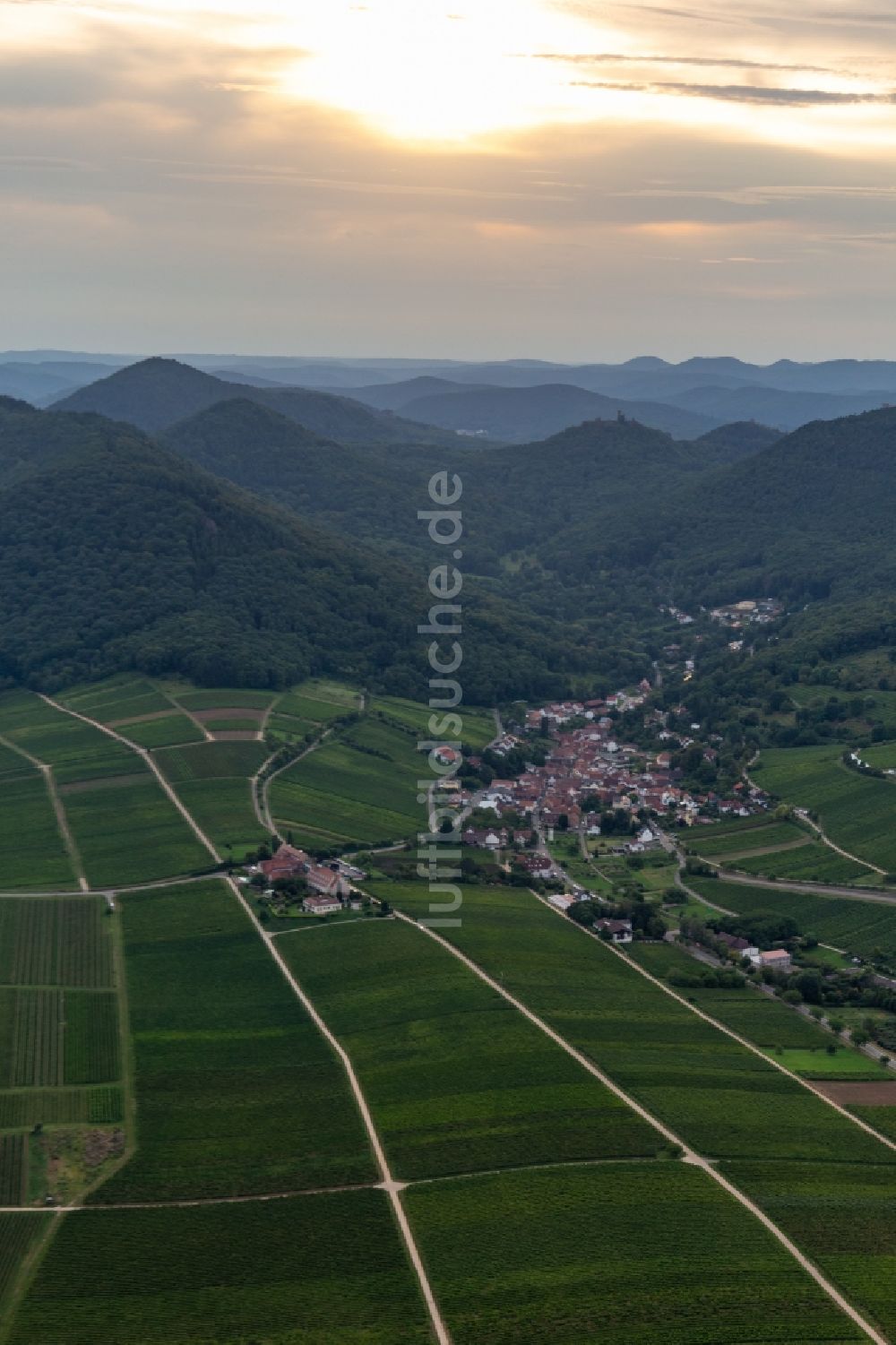 Leinsweiler von oben - Weinbergs- Landschaft der Winzer- Gebiete in Leinsweiler im Bundesland Rheinland-Pfalz, Deutschland